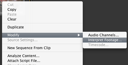 Premiere Pro Interpret footage