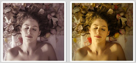 Film Looks Video Editing Plugin