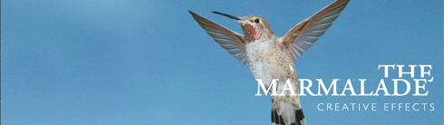 The Marmalade Special Effects The Marmalade Special Effects