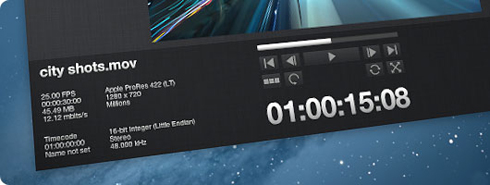 Digital Heaven Quicktime Player