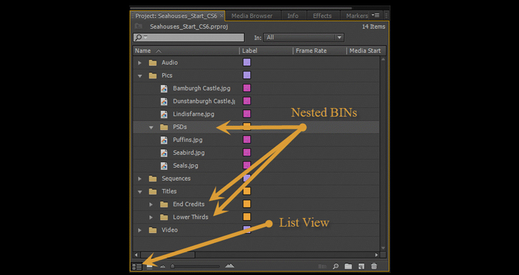 Organizing Your Premiere Pro Project: Bin Structure