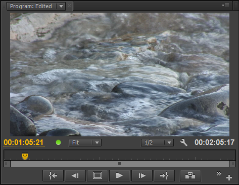 ProgramMonitorNormal