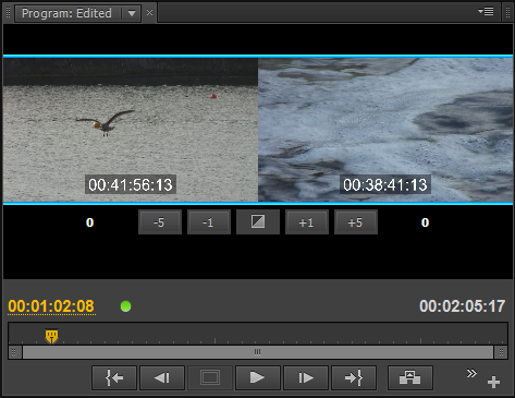 ProgramMonitorTrimMode