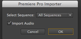 Premiere Pro Importer Dialog Box