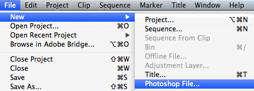 Adobe Photoshop File in Premiere Pro