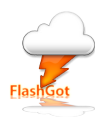 Flashgot Flashgot