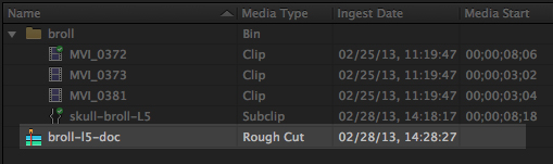 Adobe Prelude Rough Cut