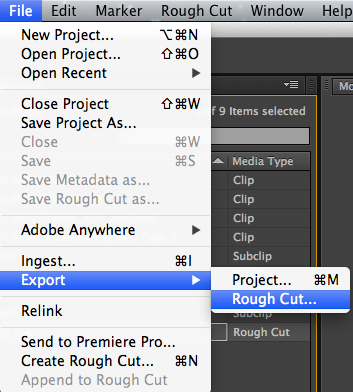 Export Rough Cut