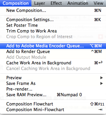 Add to Media Encoder