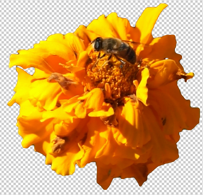 Rotobrush Without Refine Edge