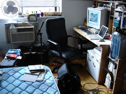 why you shouldn't work from home photo by buhny