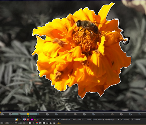 Refine Edge in After Effects