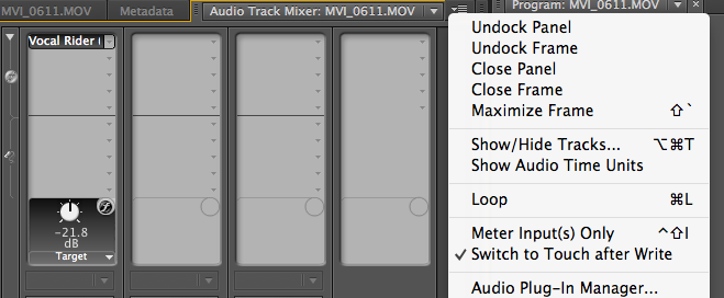 Audio Plug-in Mnager Track Audio Mixer