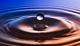 Slow Motion Cover Image