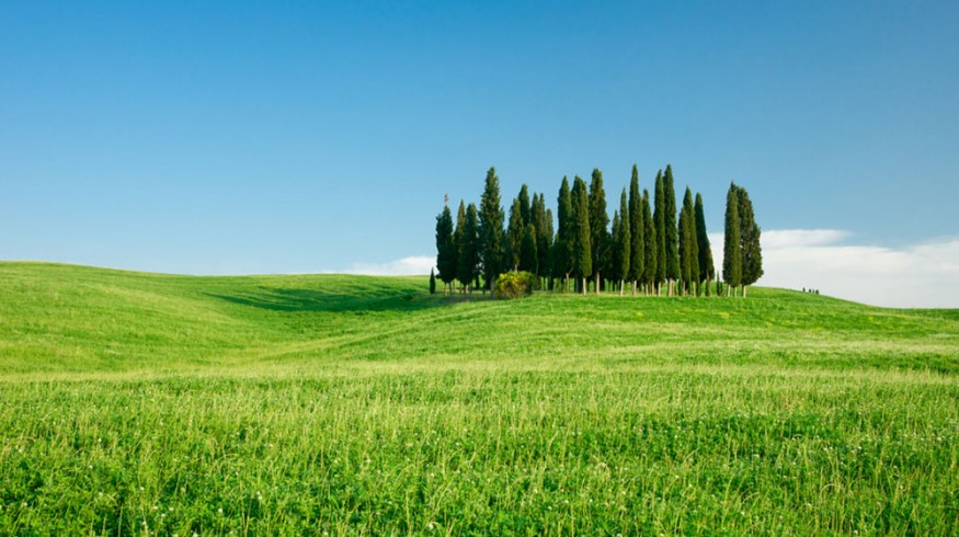 memory colors featured image