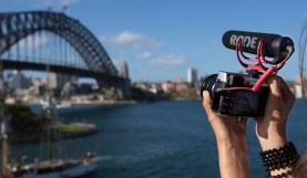 100 Dollars Cover Image