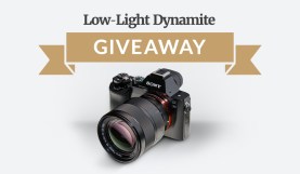 Low Light Dynamite Giveaway