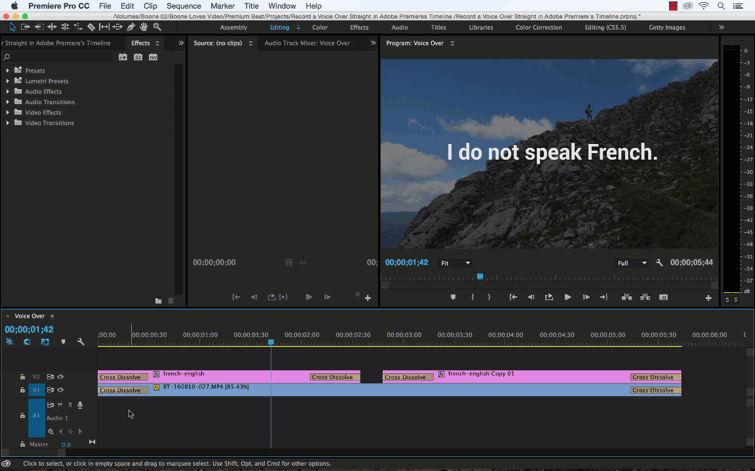 How to Record a Voice-Over Straight in Premiere Pro's Timeline: Voice-Over Record Settings