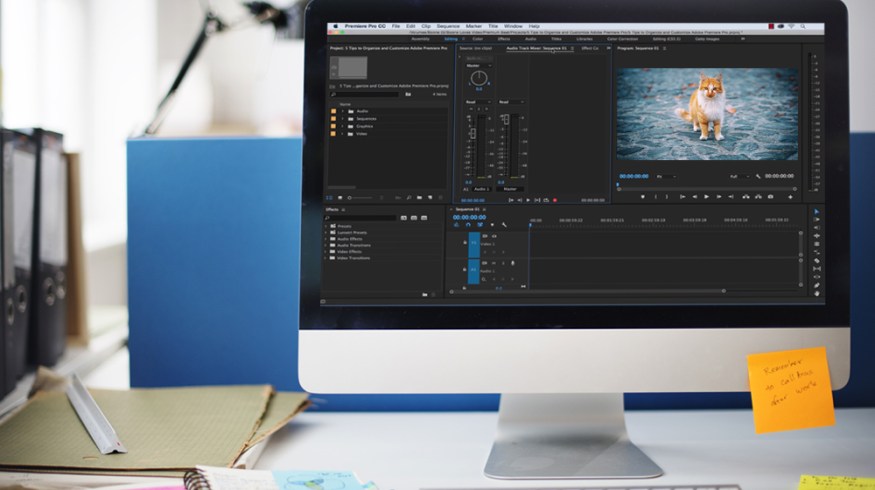 5 Tips to Organize and Customize Premiere Pro
