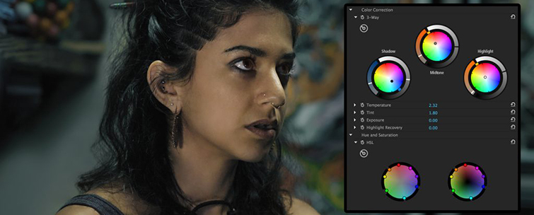 The Best Color Grading Software and Plugins for Video Editors - Colorista