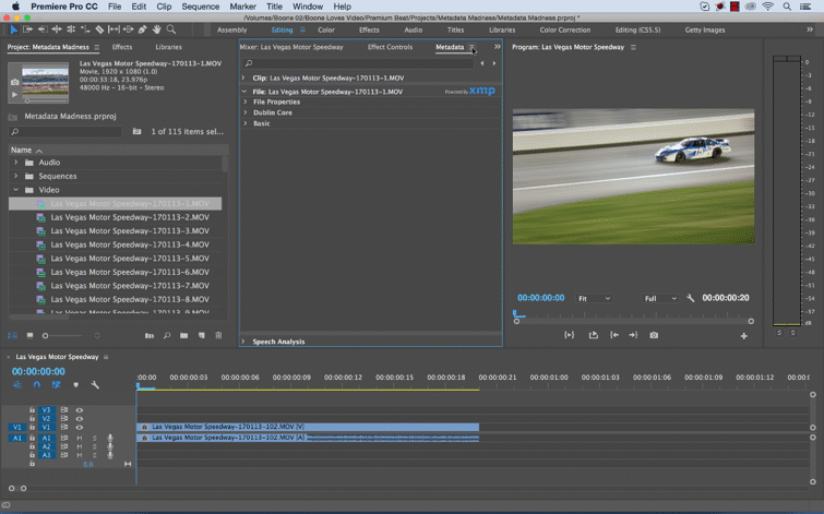 Harnessing the Power of Metadata in Premiere Pro - metadata displays