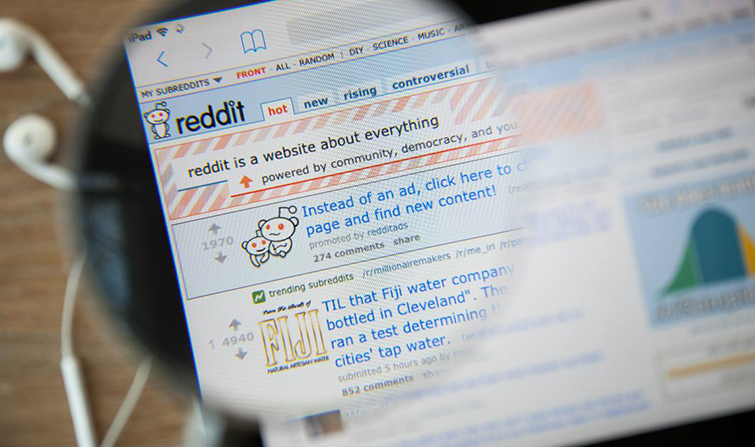 Everything You Need to Know Before Posting Your Videos on Reddit: Language