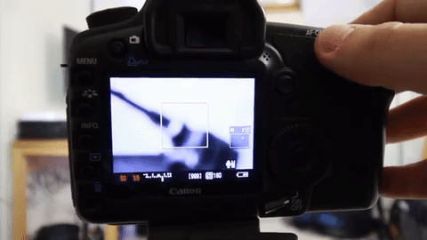 How to Autofocus Your DSLR in 3 Easy Steps - Hold AF-On Button until camera autofocuses