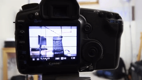 How to Autofocus Your DSLR in 3 Easy Steps - Switch camera to Live View Mode and Zoom in on Your Subject
