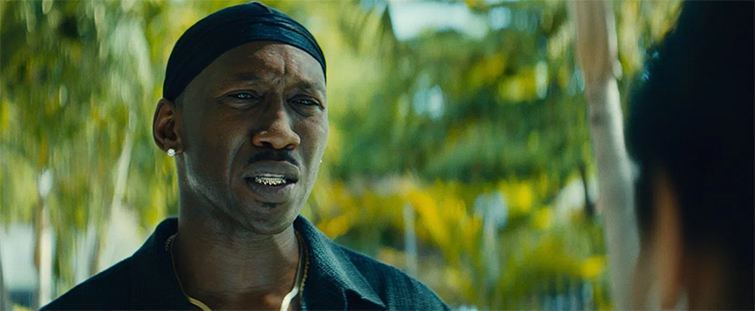 An In-Depth Look at 2017's Best Director Oscar Nominees - Barry Jenkins