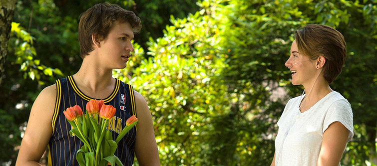 21st Century Films with the Best Return on Investment — The Fault in Our Stars