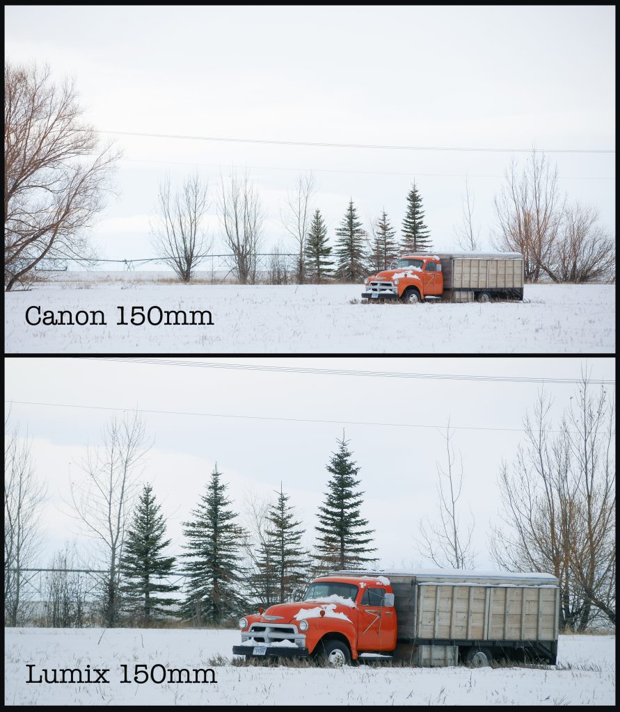 Small Chip, Big Chip: Micro 4/3 vs. Full Frame — 150mm Comparison