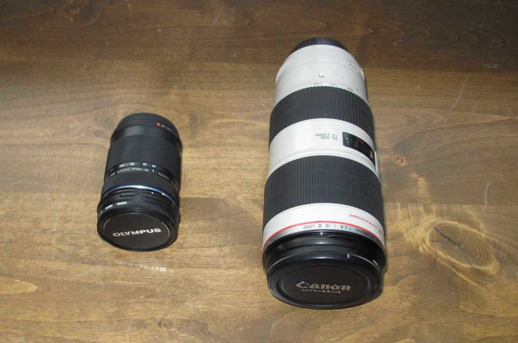 Small Chip, Big Chip: Micro 4/3 vs. Full Frame — Lenses