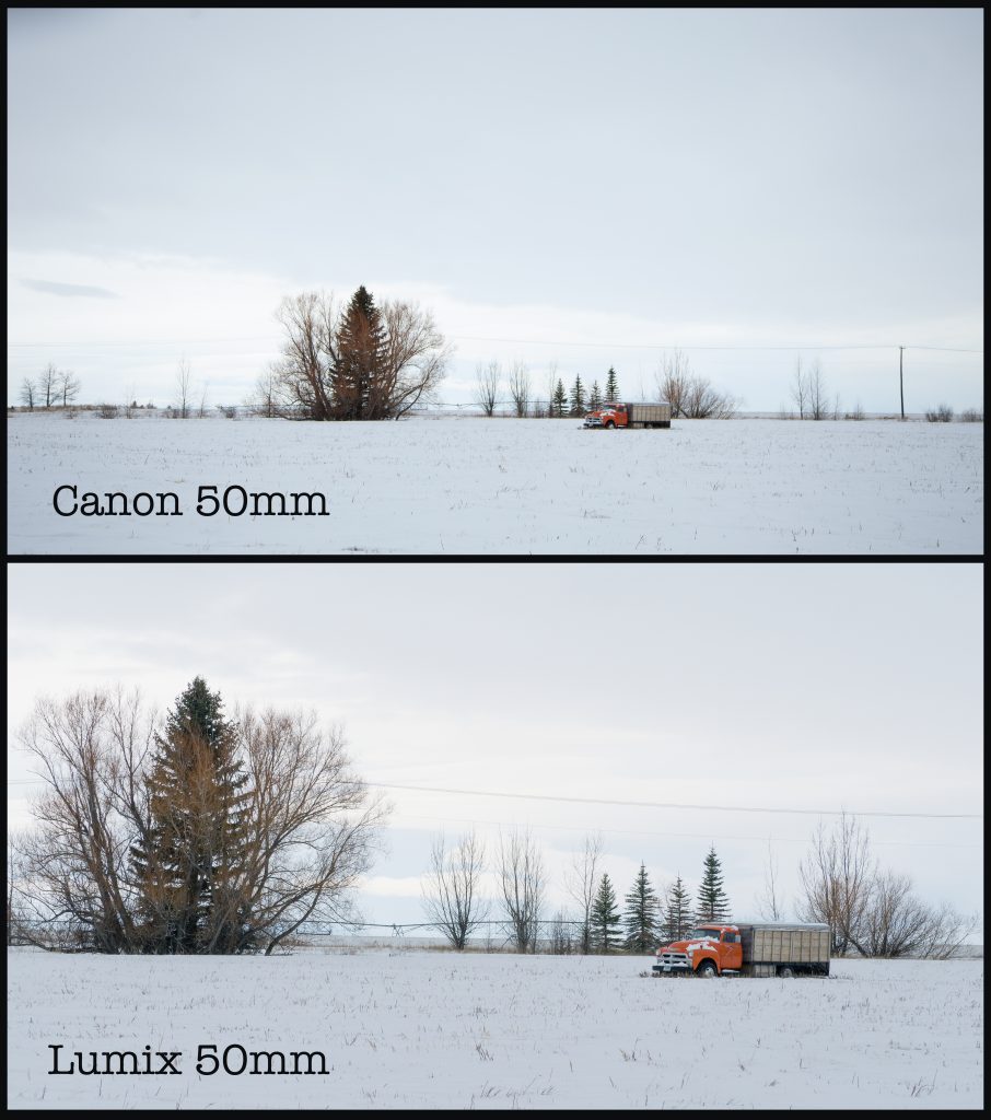 Small Chip, Big Chip: Micro 4/3 vs. Full Frame — 50mm Comparison