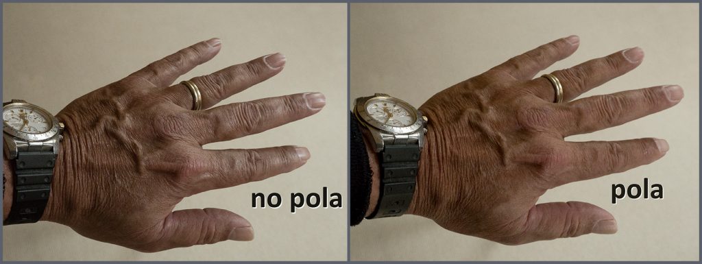 Polarizing Filters Are Essential — Unless They Aren't — Hand Comparison