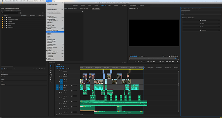 Editing Audio with the Essential Sound Panel in Adobe Premiere Pro — Organize Audio