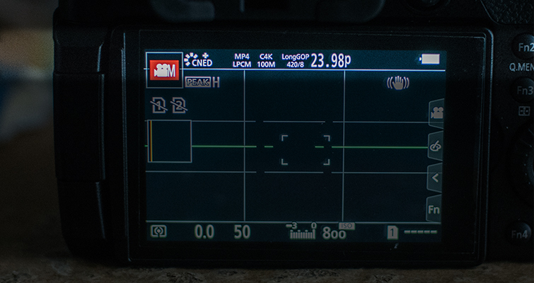 Best Video Settings for the GH5 — LCD Display