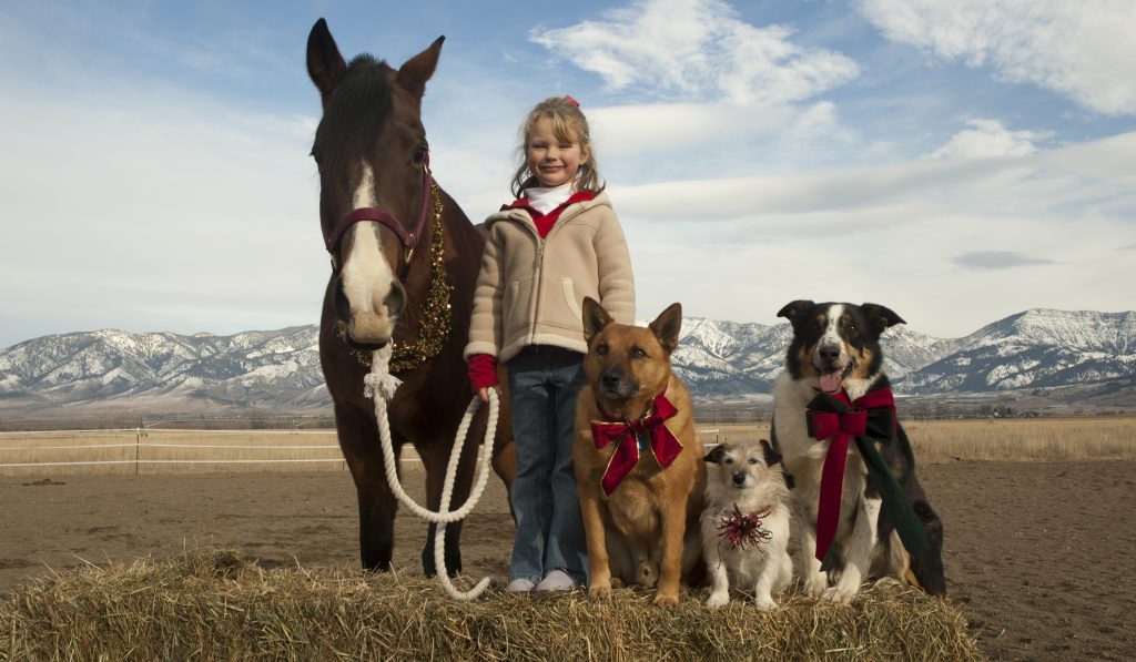 Tips for Working with Animals on Set — Group Shot