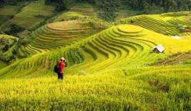 Create Better Establishing Shots with These Photography Techniques