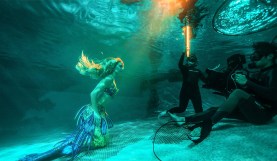 Meet Voyager, the New Light from Digital Sputnik