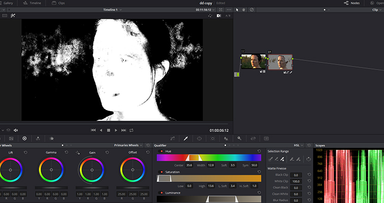 How To Make Someone Look Ill Without Makeup In DaVinci Resolve — HSL Qualifier