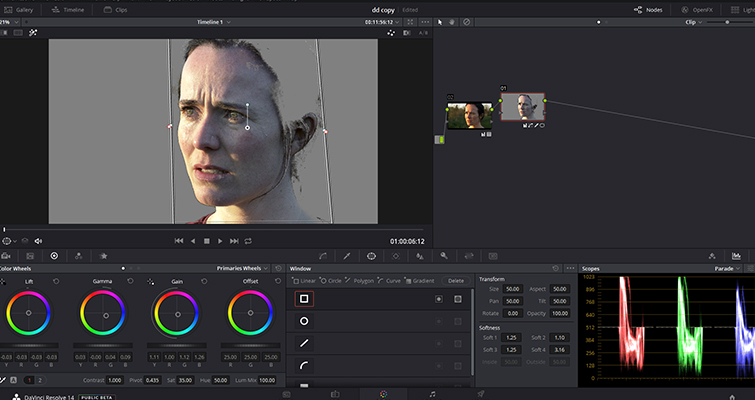 How To Make Someone Look Ill Without Makeup In DaVinci Resolve — Gamma and Gain How To Make Someone Look Ill Without Makeup In DaVinci Resolve — Gamma and Gain