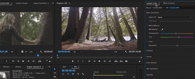 Improve Your Footage by Adding Vignettes in Post-Production — Standard Vignette