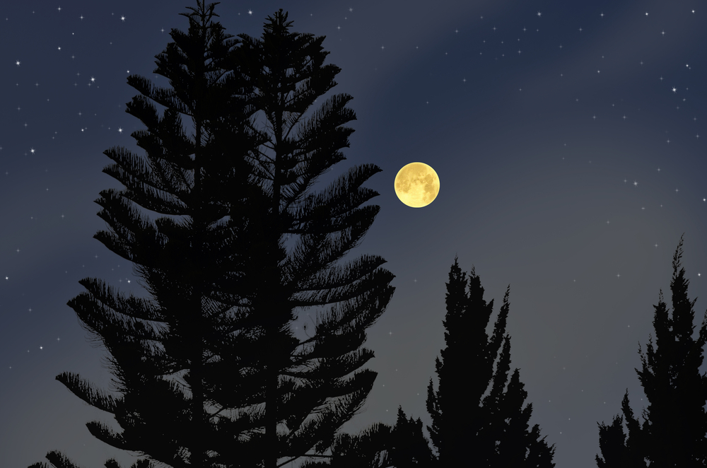 Why Do Filmmakers Color Grade Moonlight to Be Blue? — Moon 2 Why Do Filmmakers Color Grade Moonlight to Be Blue? — Moon 2