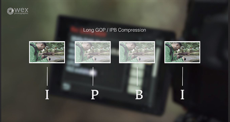 GH5's Latest Update: Long GOP vs. ALL-Intra Compression — Compression