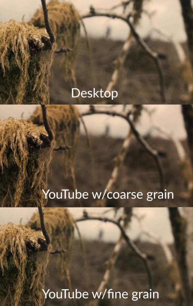 How Heavy Grain Overlays Are Affecting Your YouTube Upload — Fine Grain