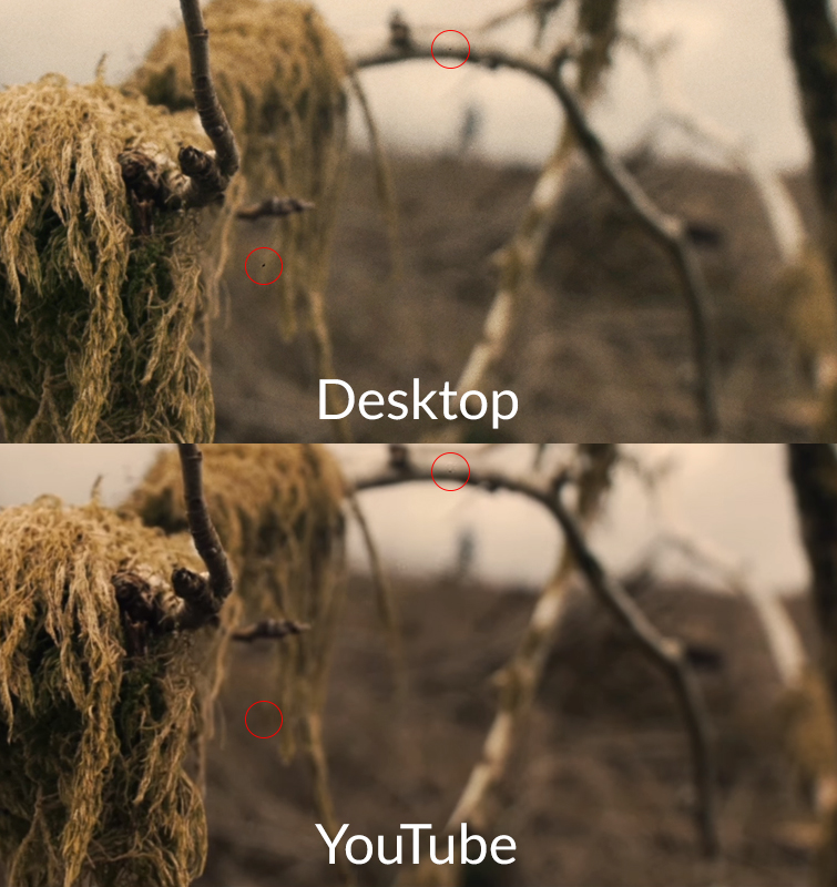 How to Soften Your Sharp 4K DSLR Video Footage — Film Grain