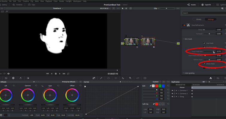 Working with DaVinci Resolve 14's Powerful Face Refinement Plug-in — Show Mask