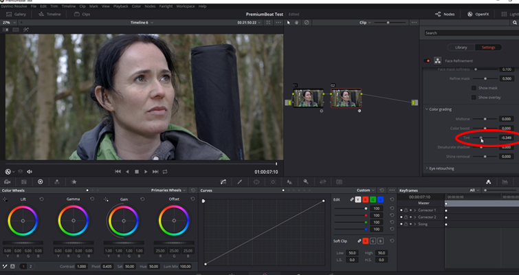 Working with DaVinci Resolve 14's Powerful Face Refinement Plug-in — Color Grading Panel