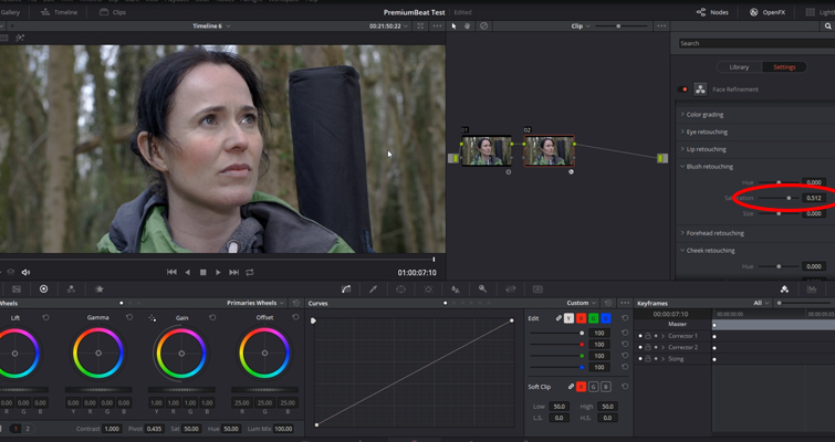 Working with DaVinci Resolve 14's Powerful Face Refinement Plug-in — Blush Retouching