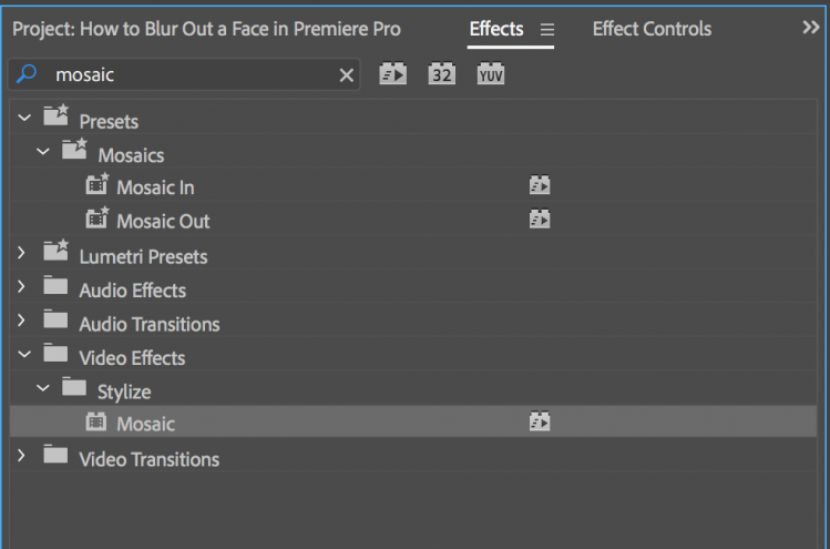 Need to Blur a Face in Premiere Pro? Here's How You Do It — Mosaic Effect